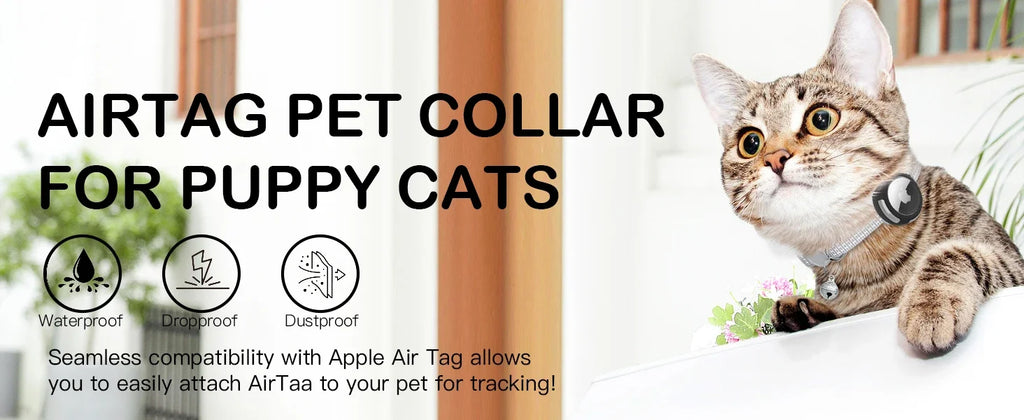 AIRTAG pour ton animal de compagnie