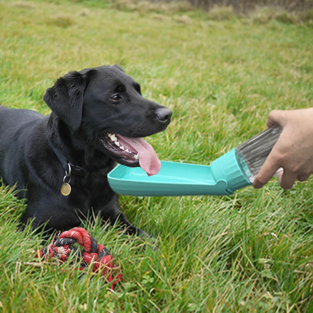 Bouteille d'eau Portable pour chien