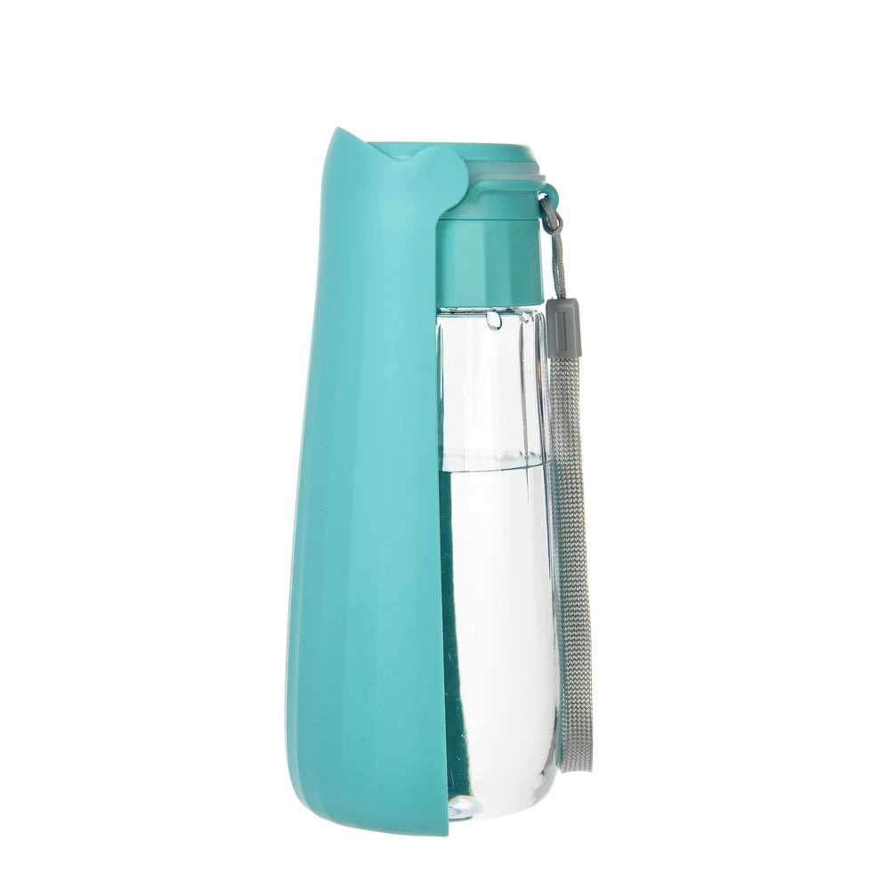 Bouteille d'eau Portable pour chien
