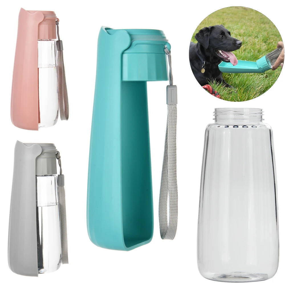 Bouteille d'eau Portable pour chien